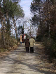 Castelli
                Book Club 116.jpg (807768 byte)