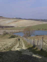 Castelli
                Book Club 120.jpg (758327 byte)