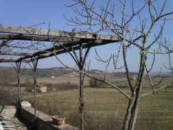 Castelli Book
                Club 052.jpg (838881 byte)