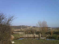 Castelli Book
                Club 055.jpg (867261 byte)